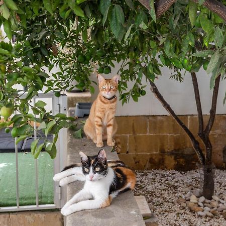 Close To Airport, Double Bedroom, Sofa-Bed, Private Bathroom For Adults And Children Aged 10 And Over Only Gudja Exteriér fotografie